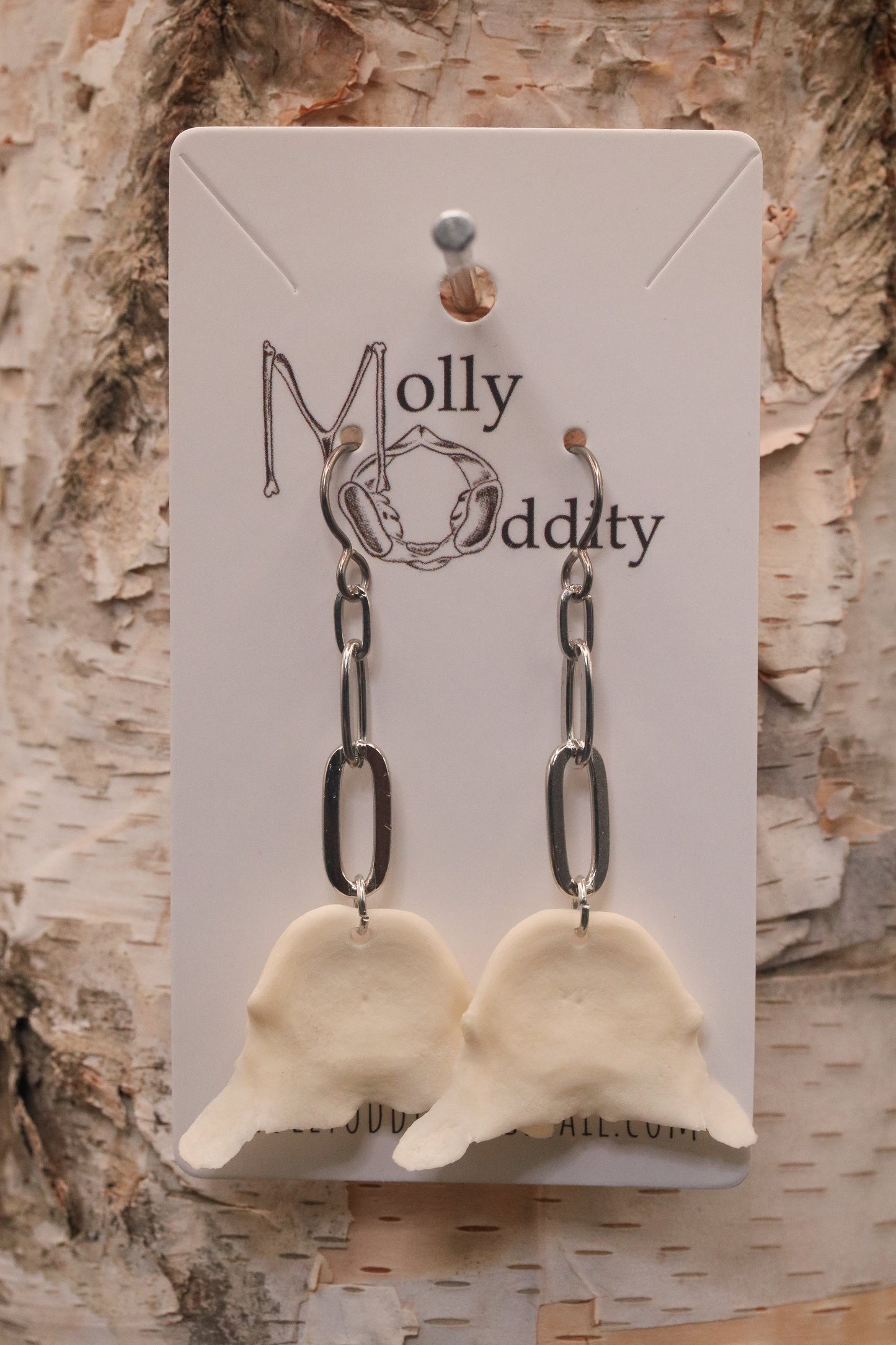 Vertebrae Caps & Silver Chain Earrings