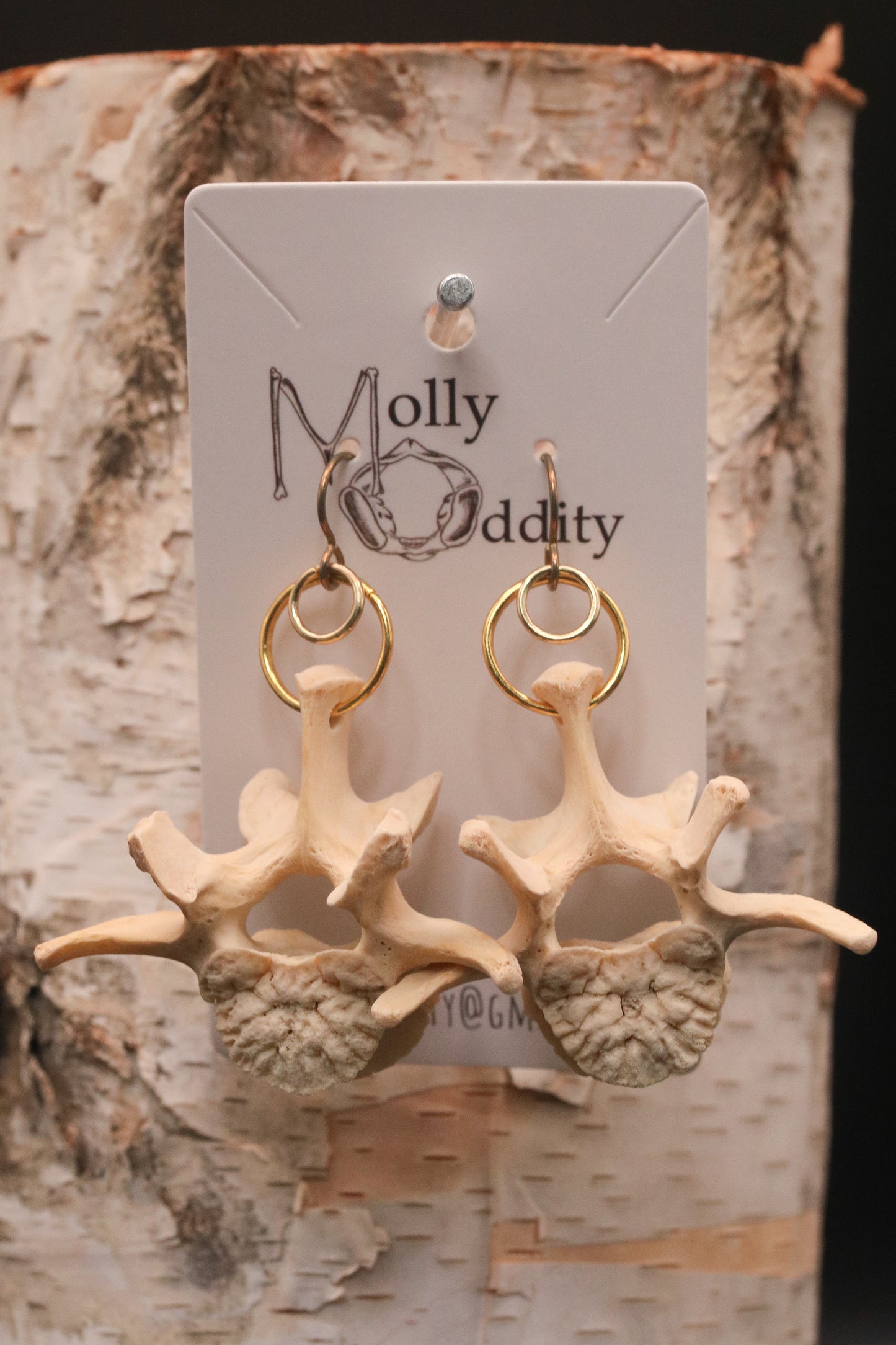 Large Vertebrae & Gold Ring Earrings