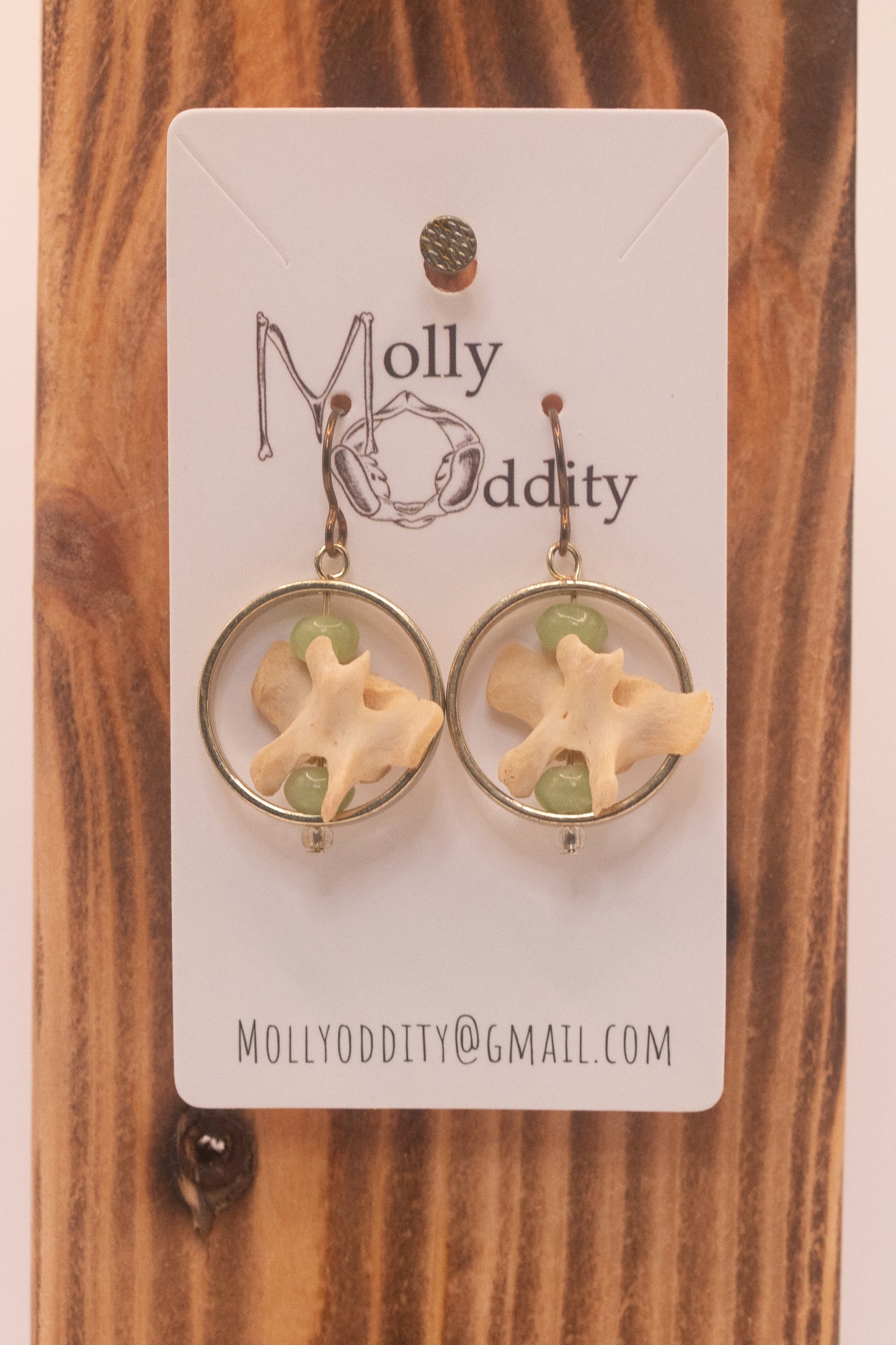 Small Vertebrae in Ring Earrings