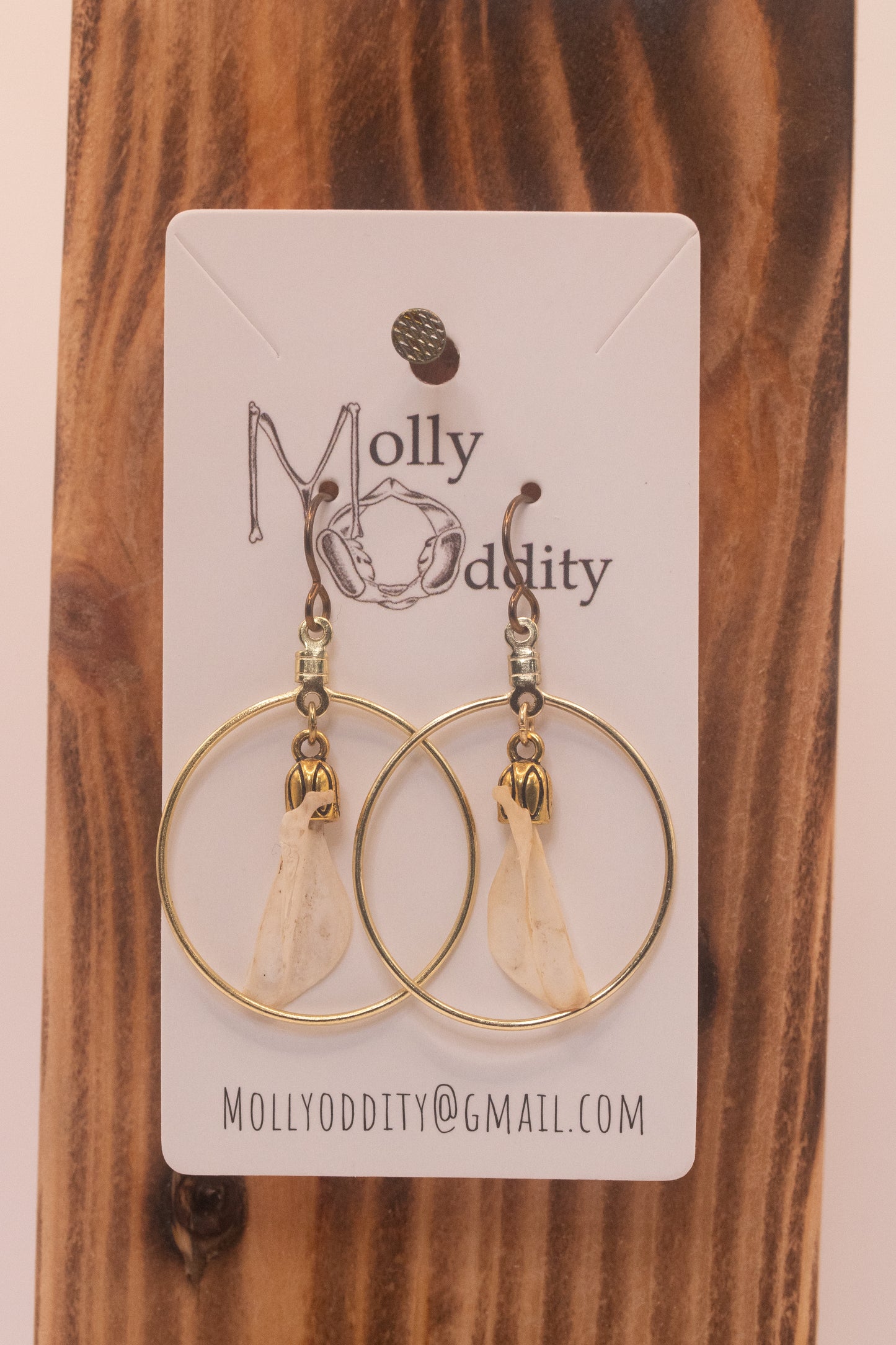 Scapula & Gold Ring Earrings