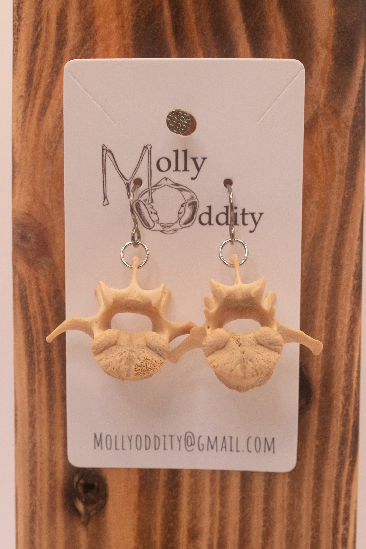 Medium Vertebrae Earrings