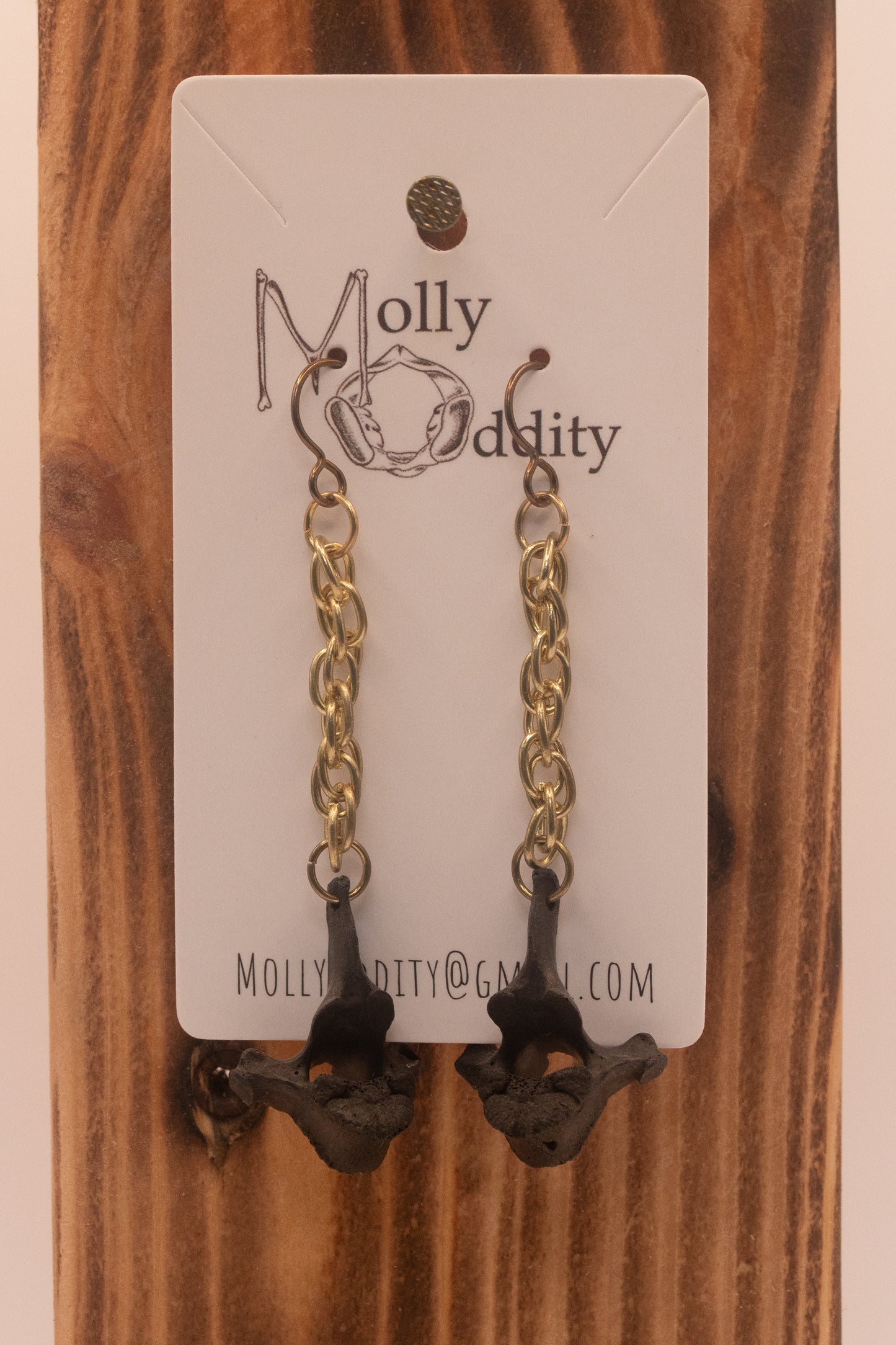 Black Vertebrae & Long Chain Earrings