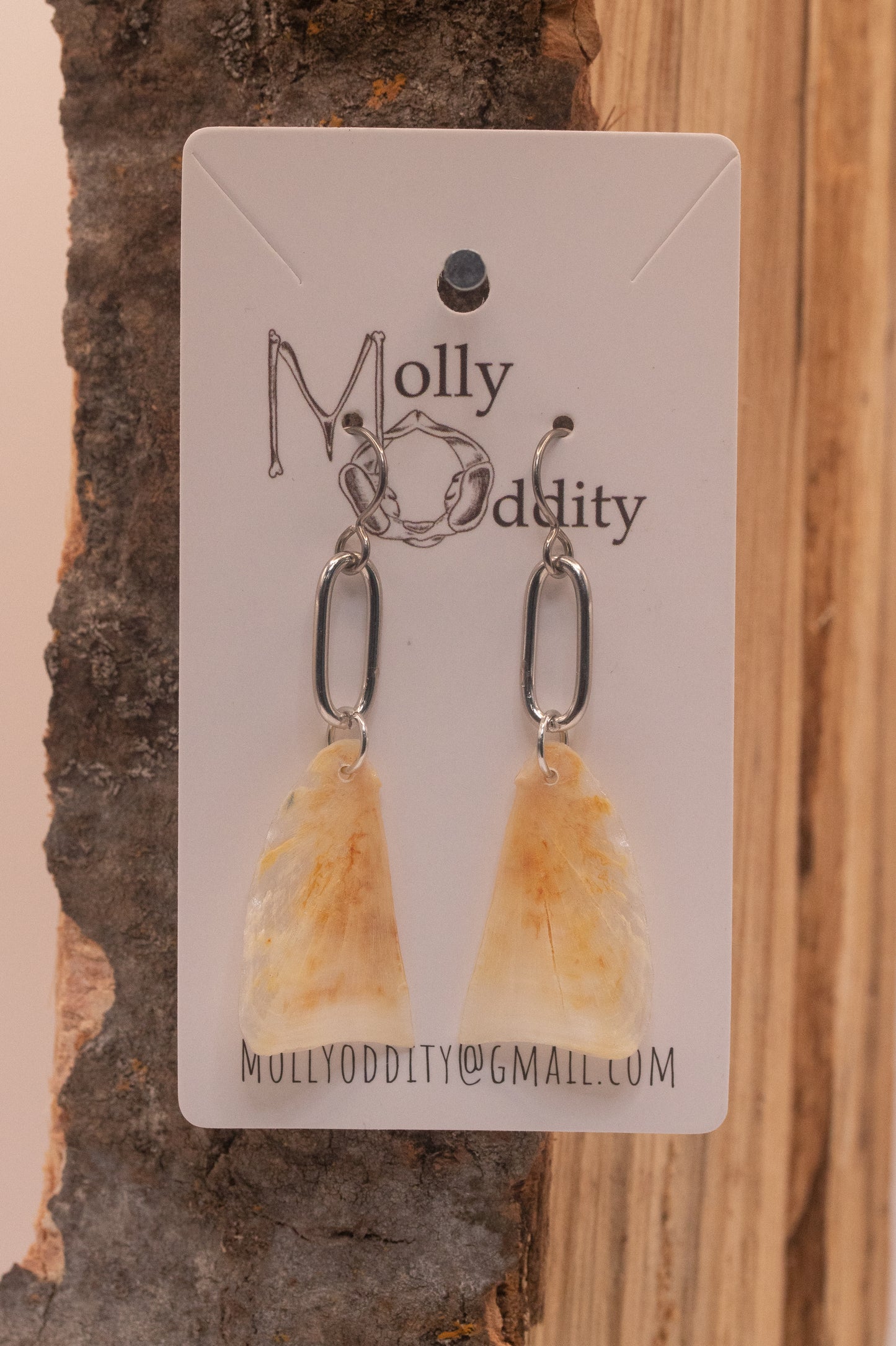 Fish Bone & Link Earrings