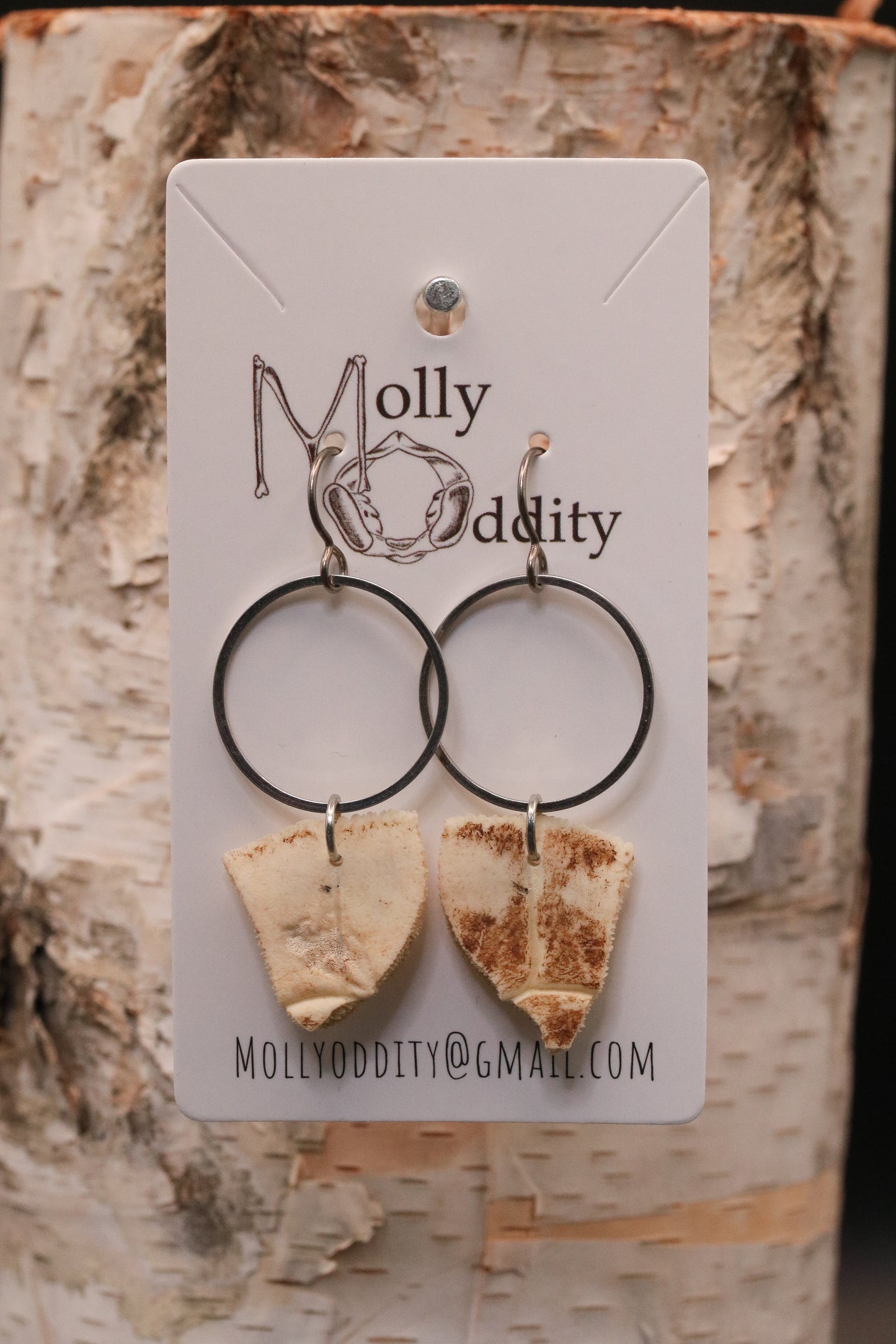 Turtle Shell & Silver Hoop Earrings