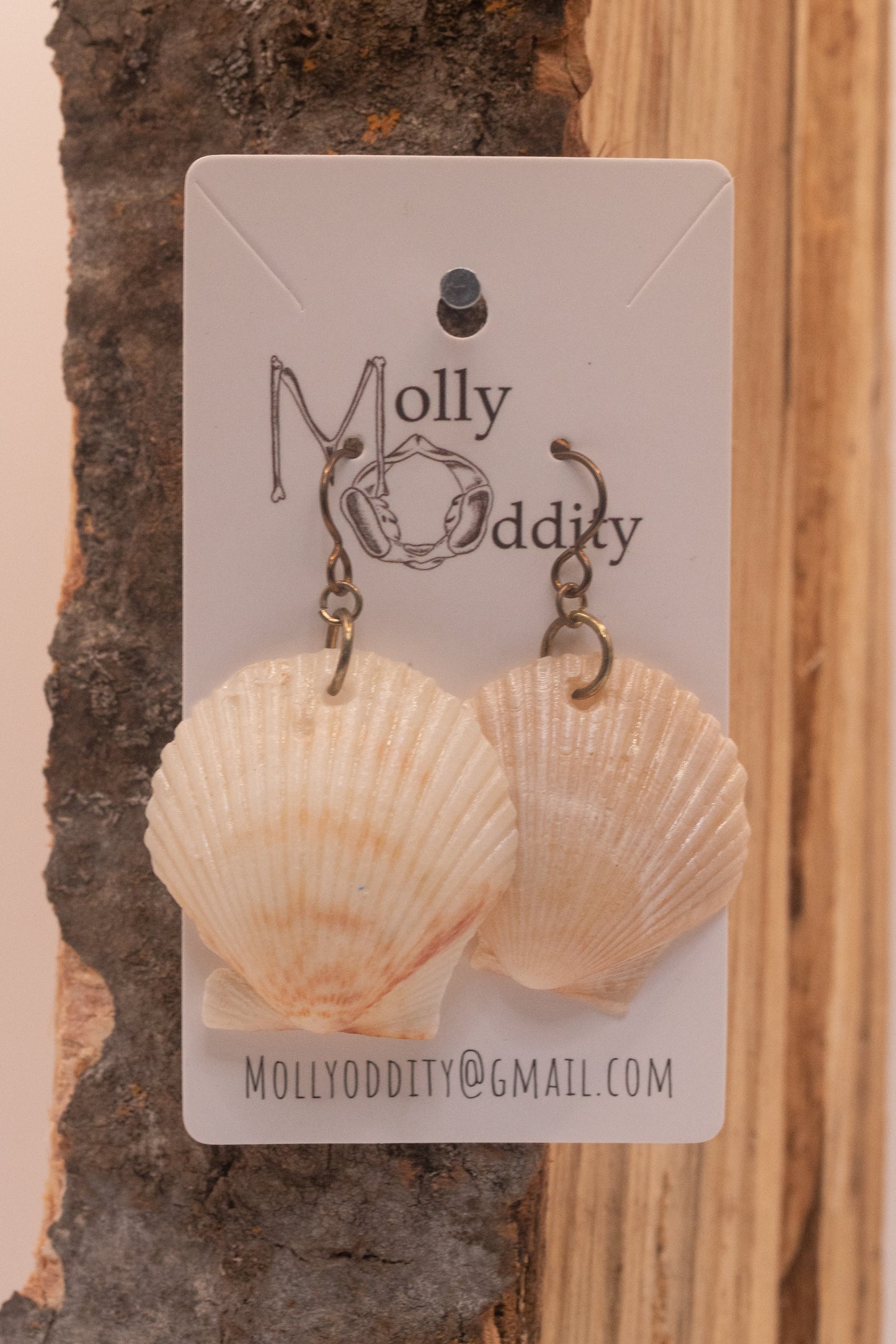 Glossy Shell Earrings