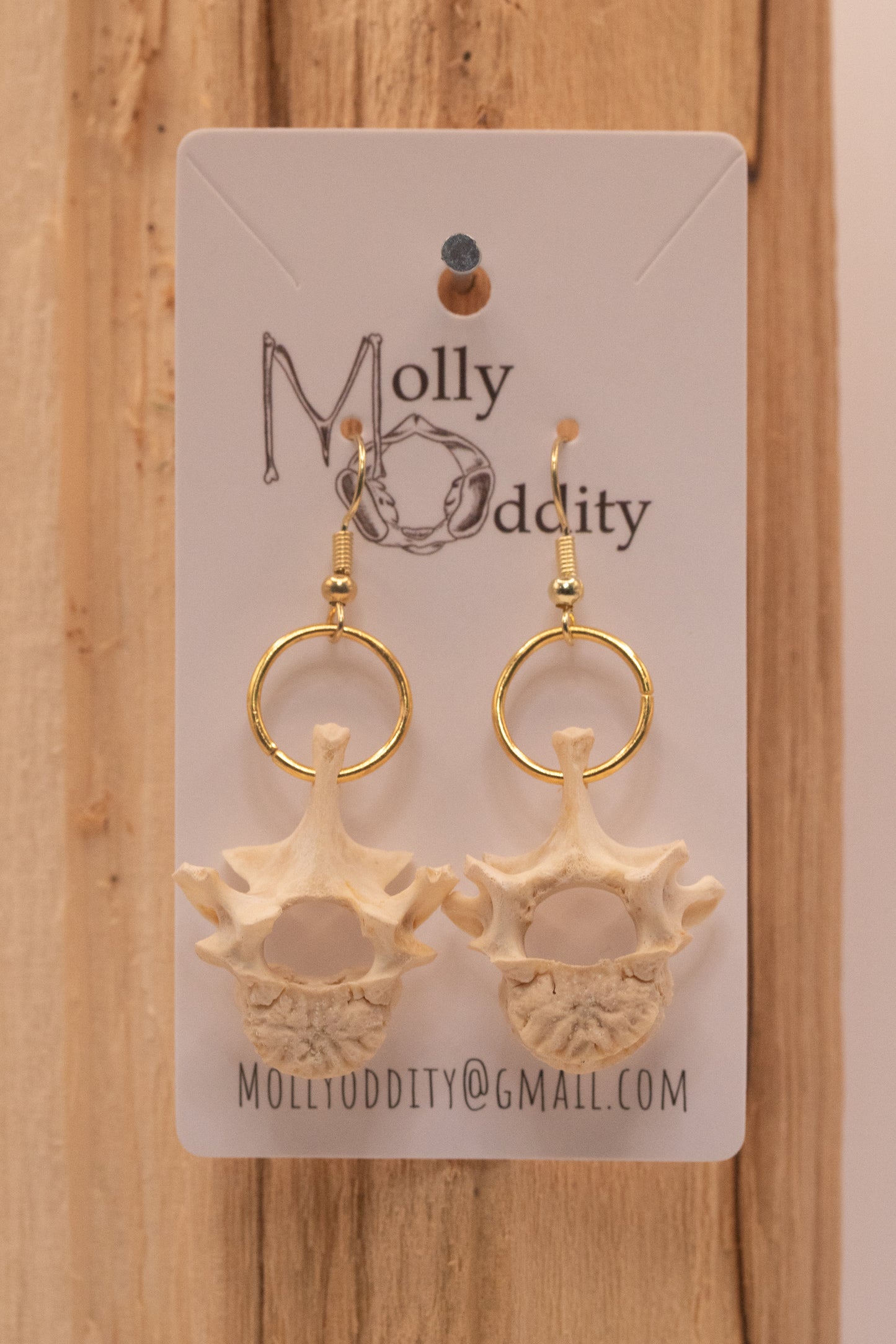 Vertebrae Earrings