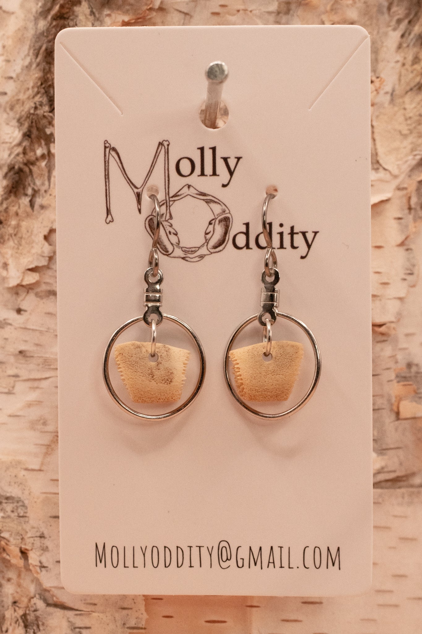 Small Turtle Shell in Hoop Earrings