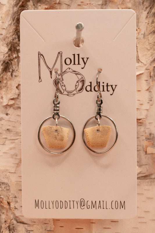 Small Turtle Shell in Hoop Earrings