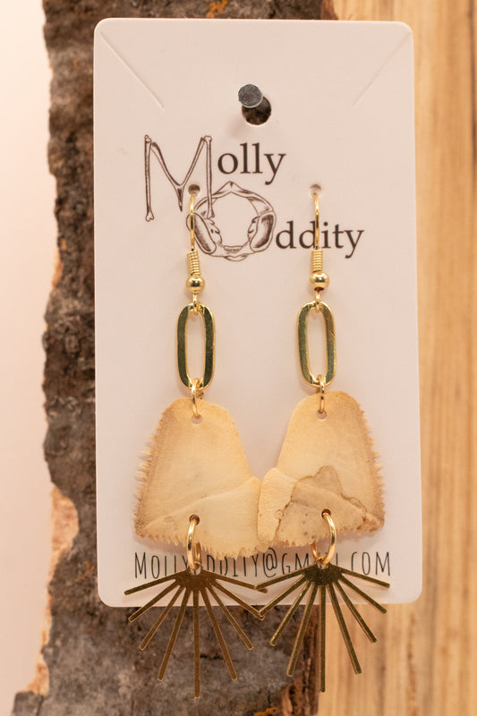 Shell & Sunray Earrings