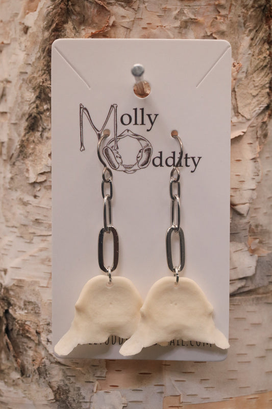 Vertebrae Caps & Silver Chain Earrings