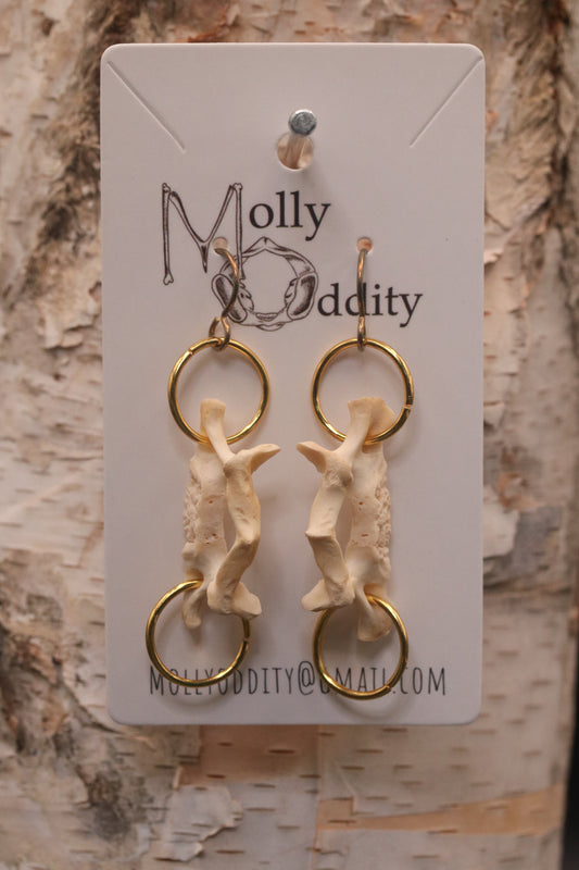 Double Ring & Vertebrae Earrings
