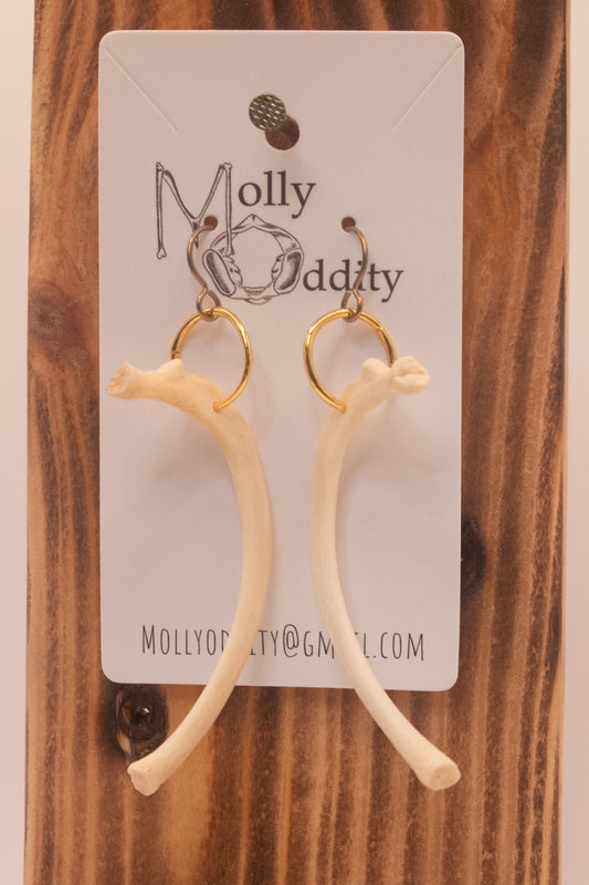 Rib Bone & Ring Earrings