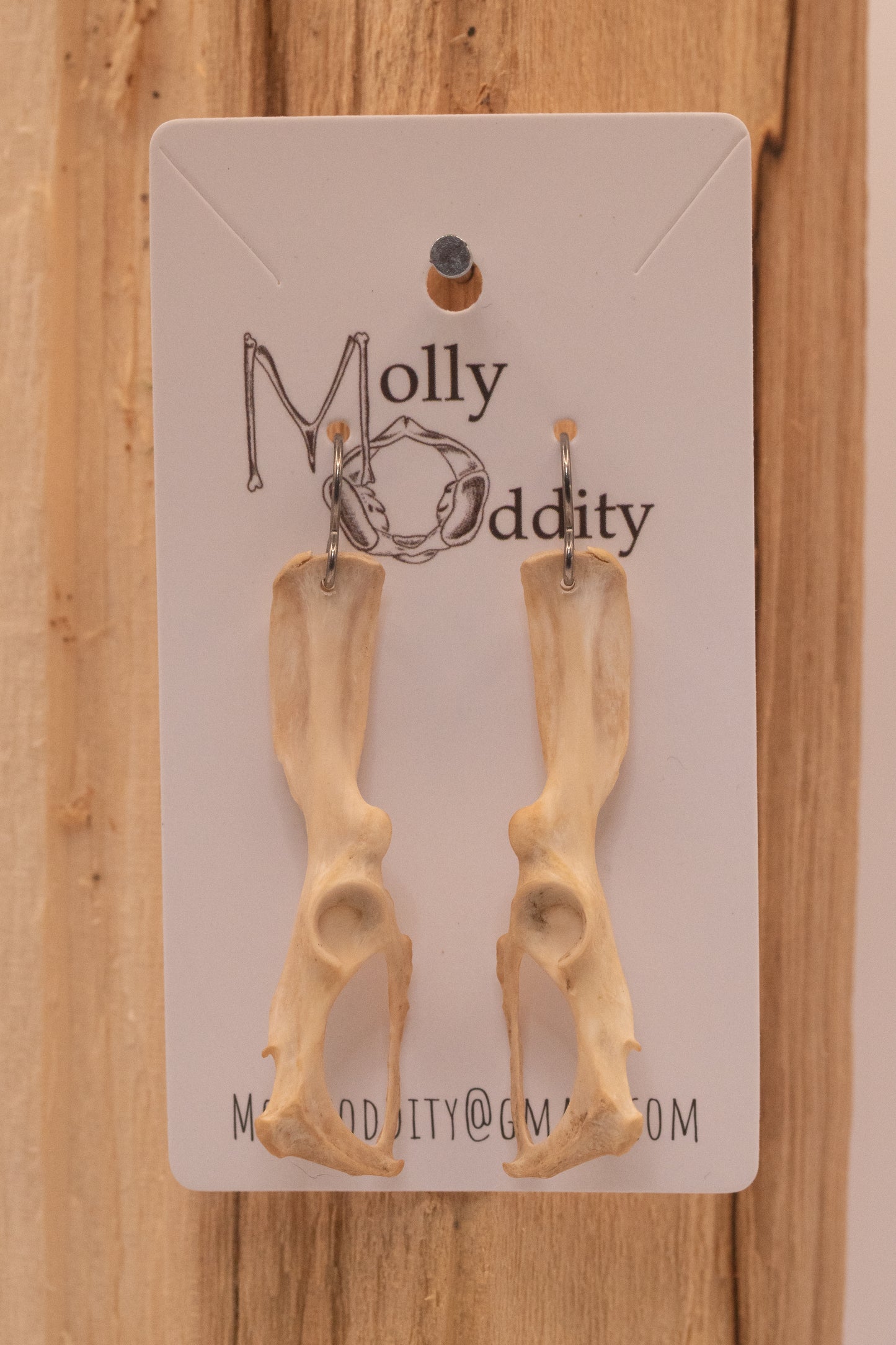 Pelvis Earrings