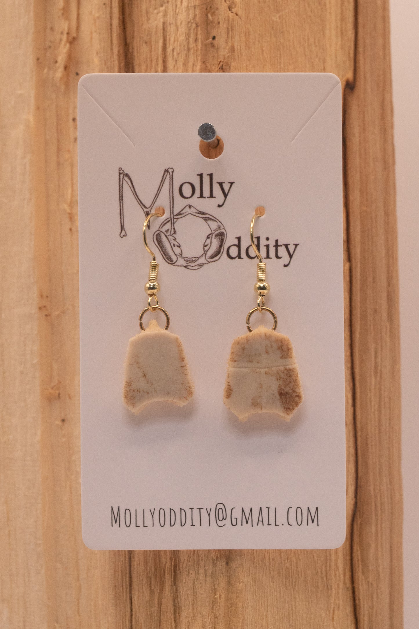 Small Turtle Shell Earrings