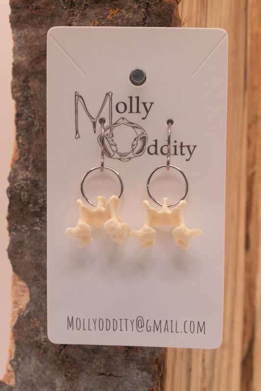 Small Vertebrae & Hoop Earrings