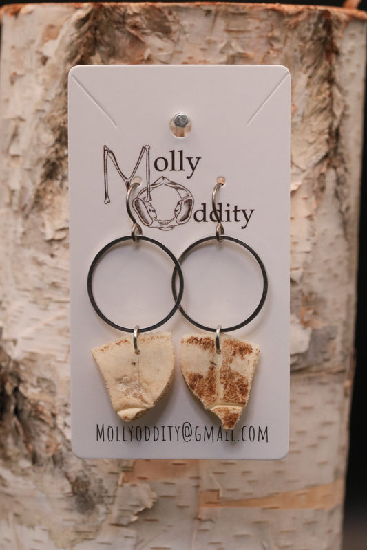 Turtle Shell & Silver Hoop Earrings