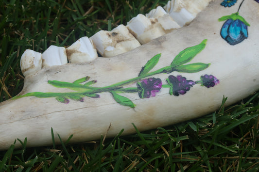 Hand Painted Buffalo Jaw