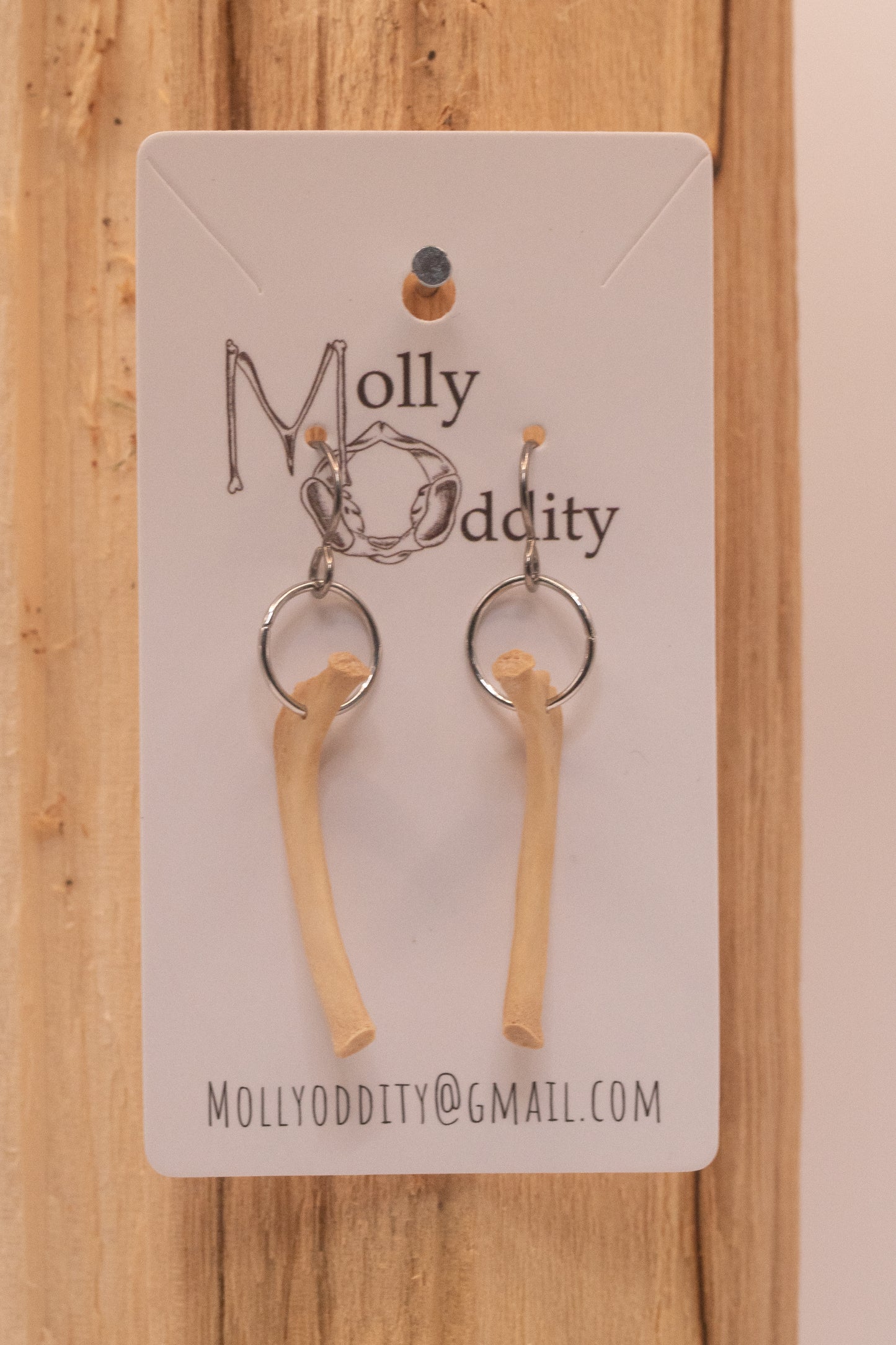 Small Rib & Hoop Earrings