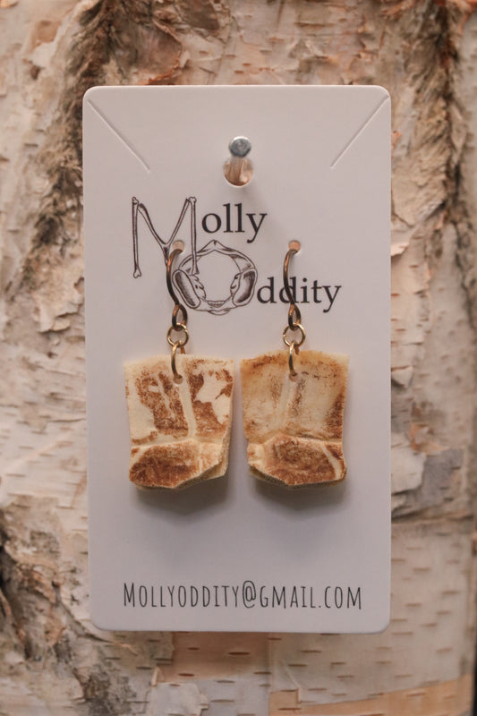 Simple Turtle Shell Earrings