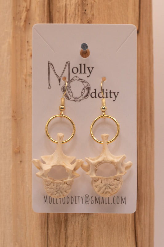 Vertebrae Earrings