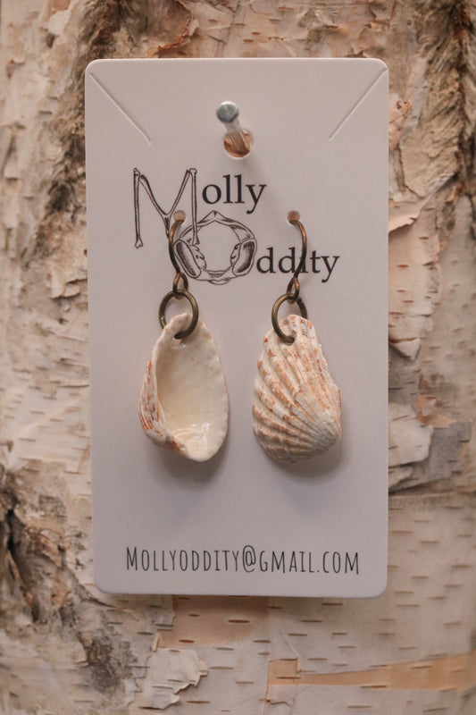 Simple Shell Earrings